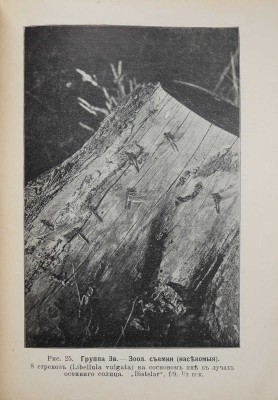 Шульц Г. Э. Ф. Фотография с природы. Практические наставления для учащихся и любителей. СПб., 1913.